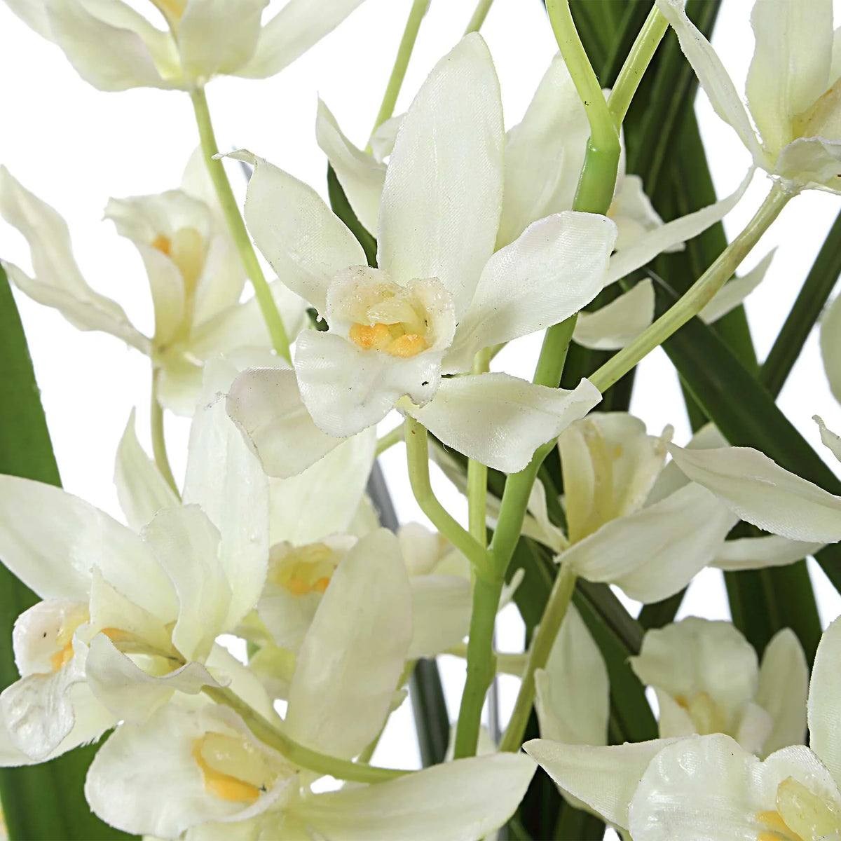 Orchid Planter