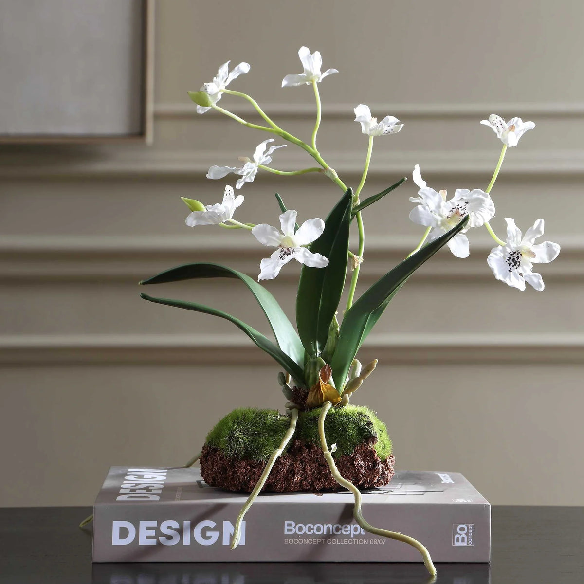 Orchid Drop-In