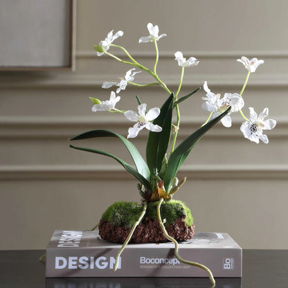 Orchid Drop-In