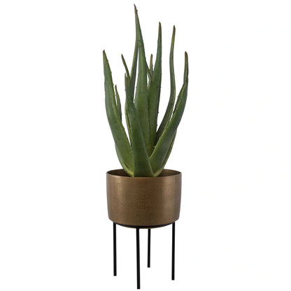 Aloe Planter