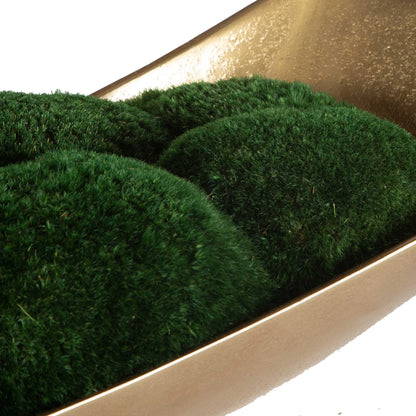 Moss Centerpiece