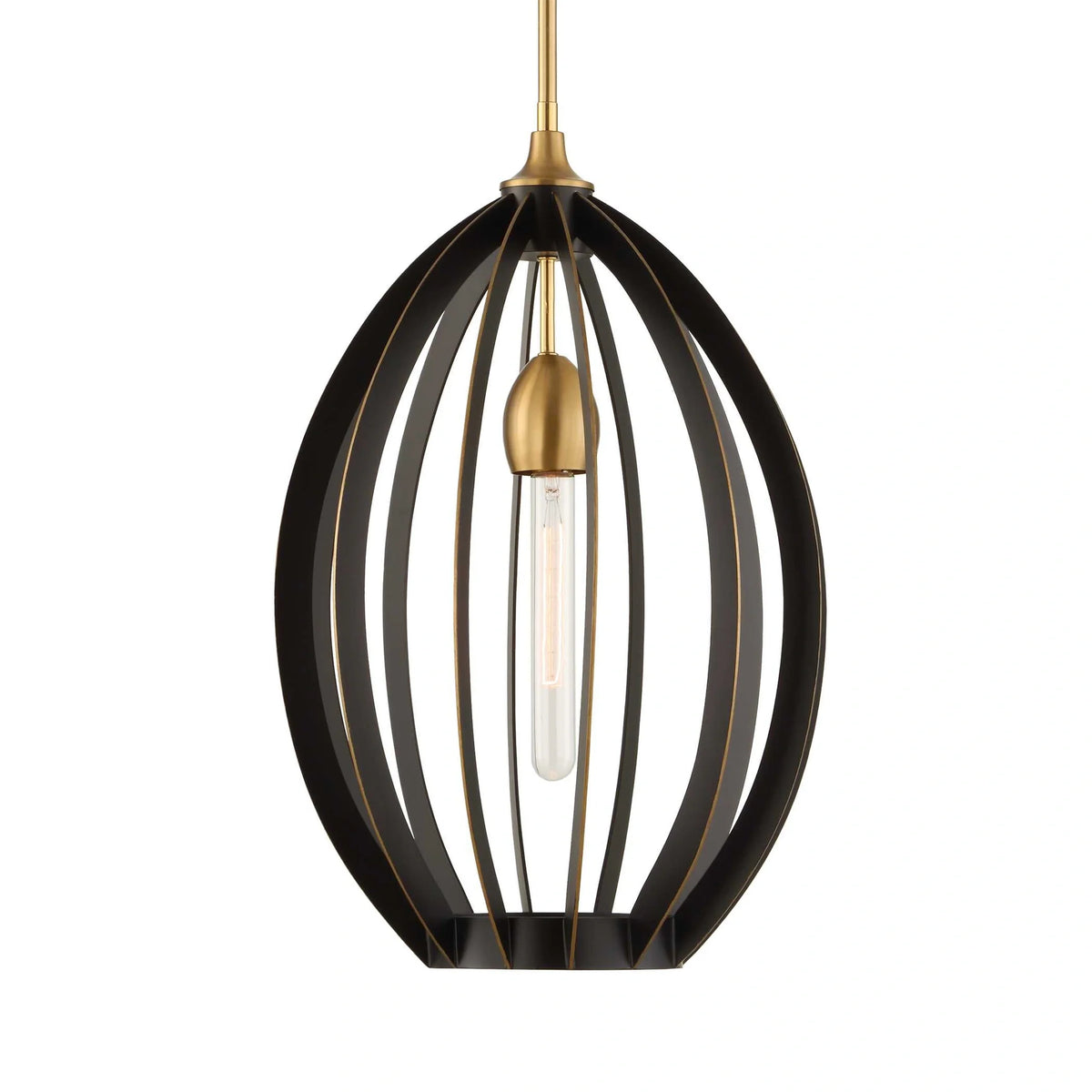 1 Light Architectural Oval Pendant