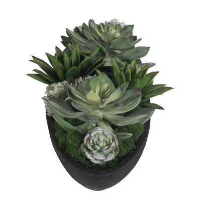 Succulent Centerpiece In Bowl