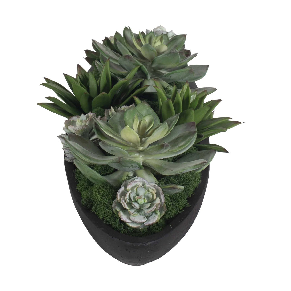 Succulent Centerpiece In Bowl