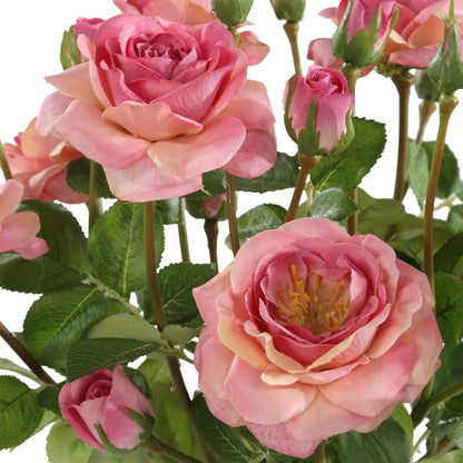 Rose Bouquet