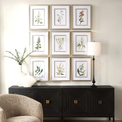 Framed Prints Set/9
