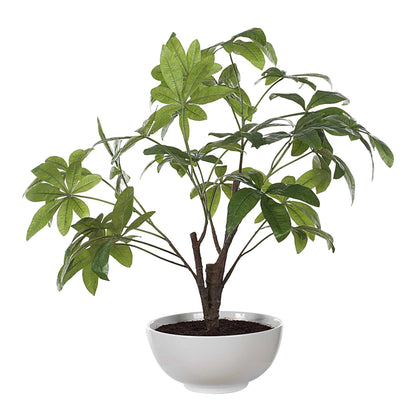 Faux Money Tree in Bowl