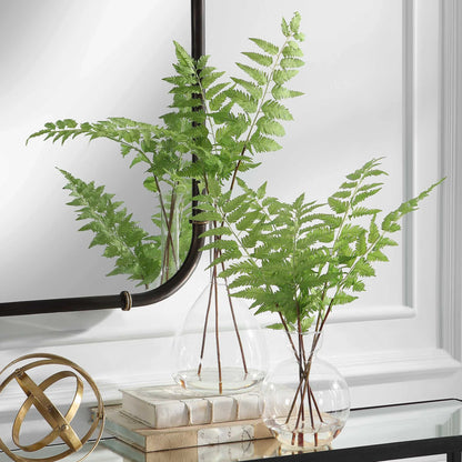 Ferns Set/2