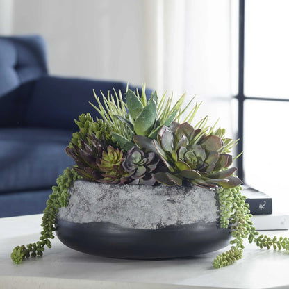 Succulent Centerpiece