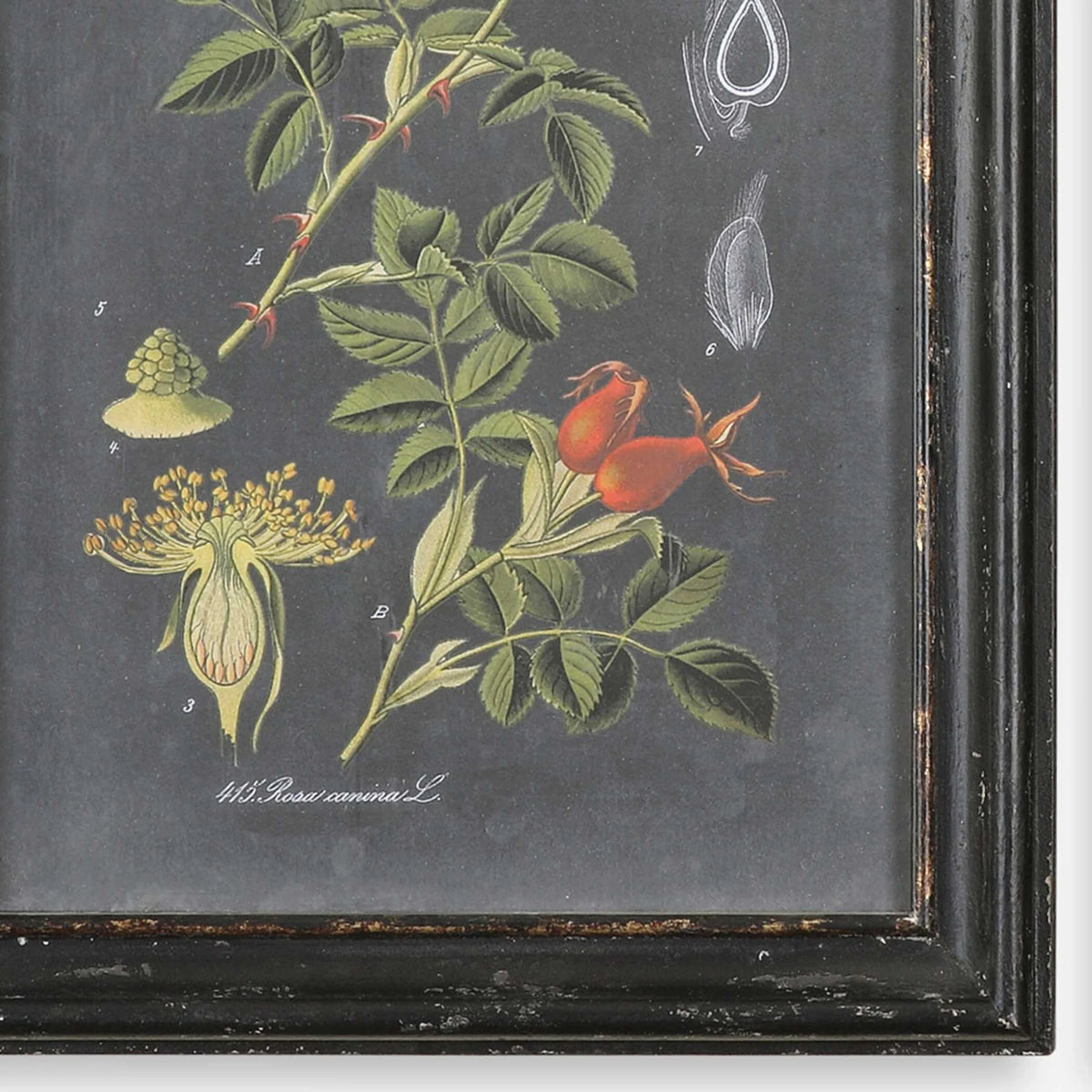 Wall Art Set/2