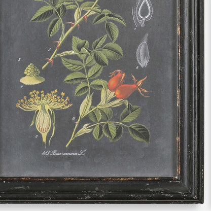 Wall Art Set/2