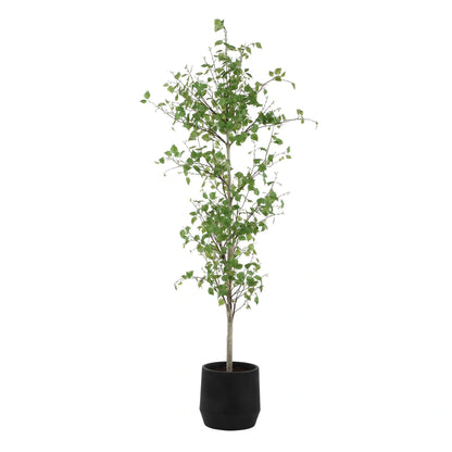 Potted Birch Tree