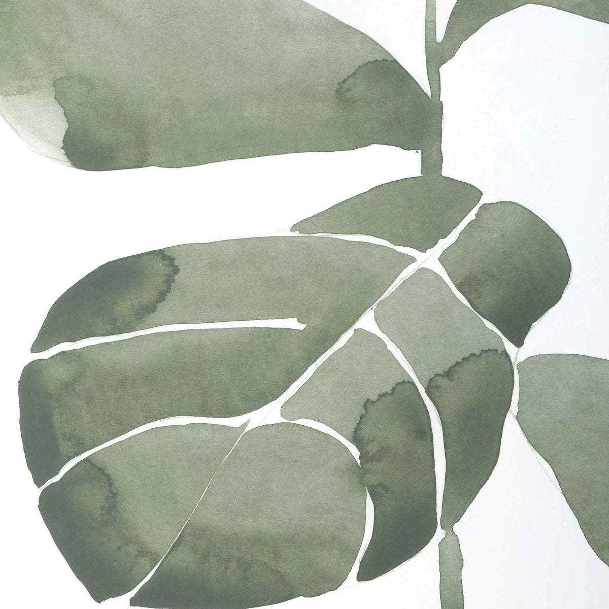 Fiddle Leaf Botanical Prints, Set of 4