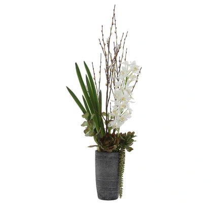 Orchid Centerpiece & Vase