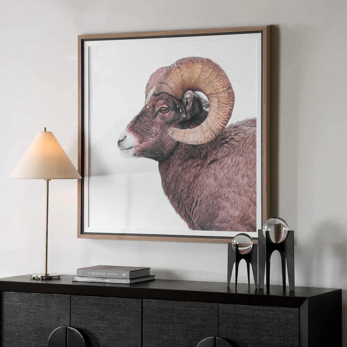 Horn Sheep Framed Print