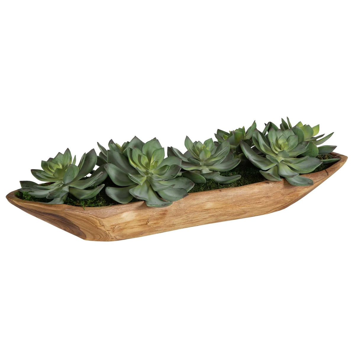 Green Succulent Centerpiece