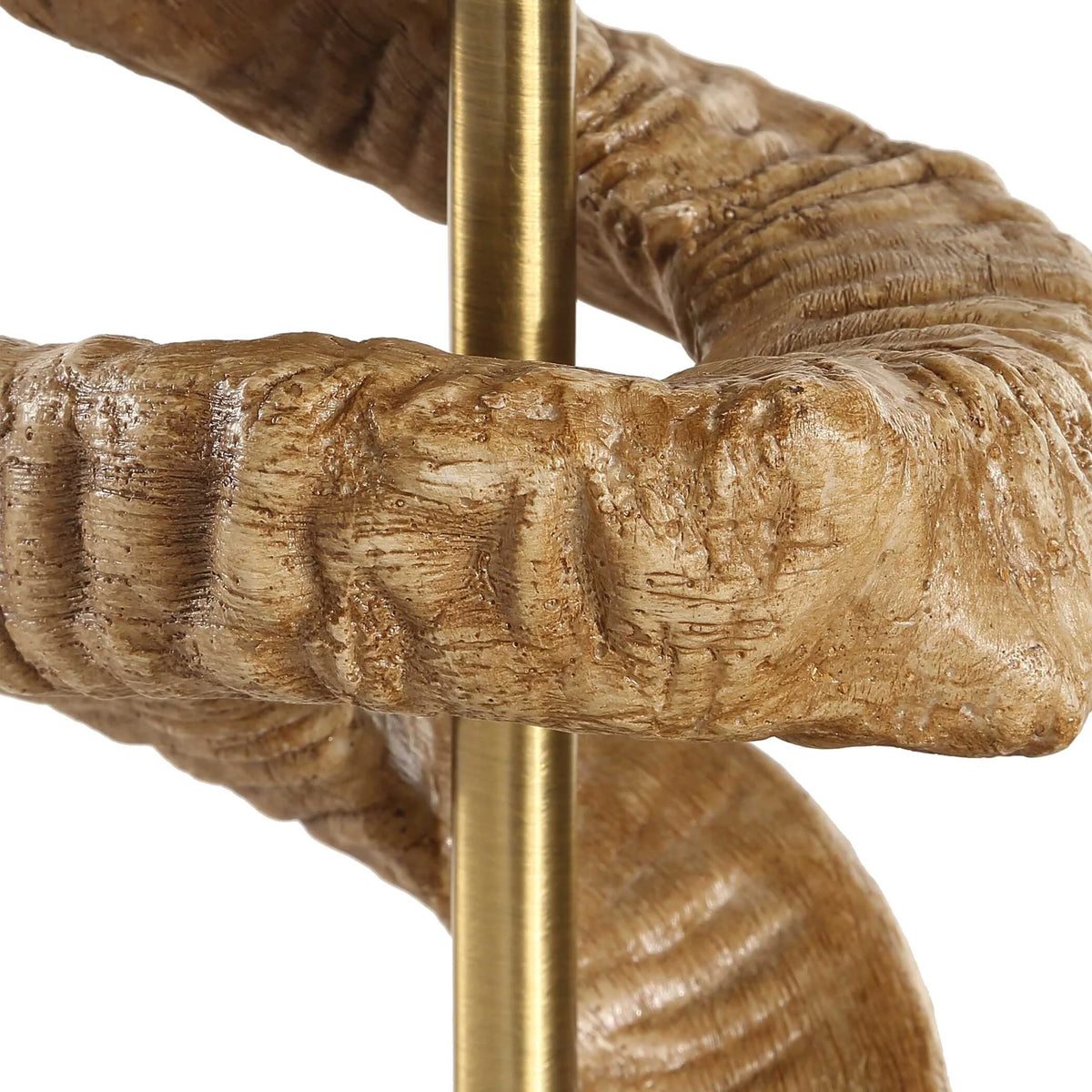 Sculptural Horn Table Lamp