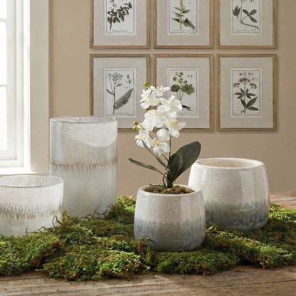 Orchid Drop-In