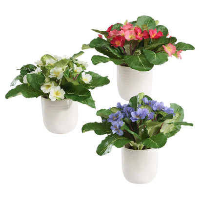 Accents In Vases Set/3