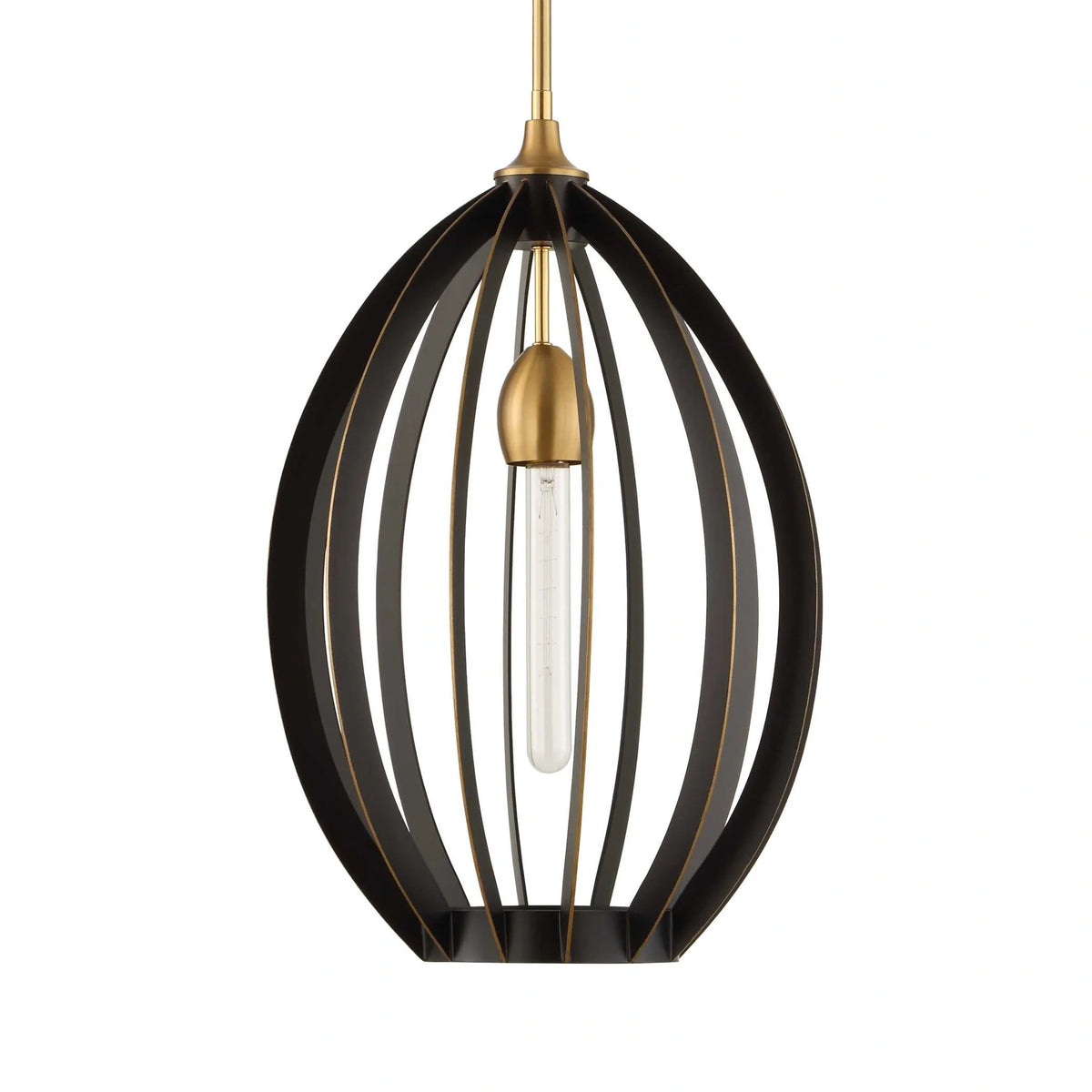 1 Light Architectural Oval Pendant