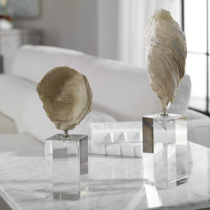 Oyster Shell Sculptures, Set of 2