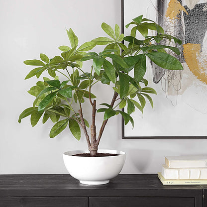 Faux Money Tree in Bowl