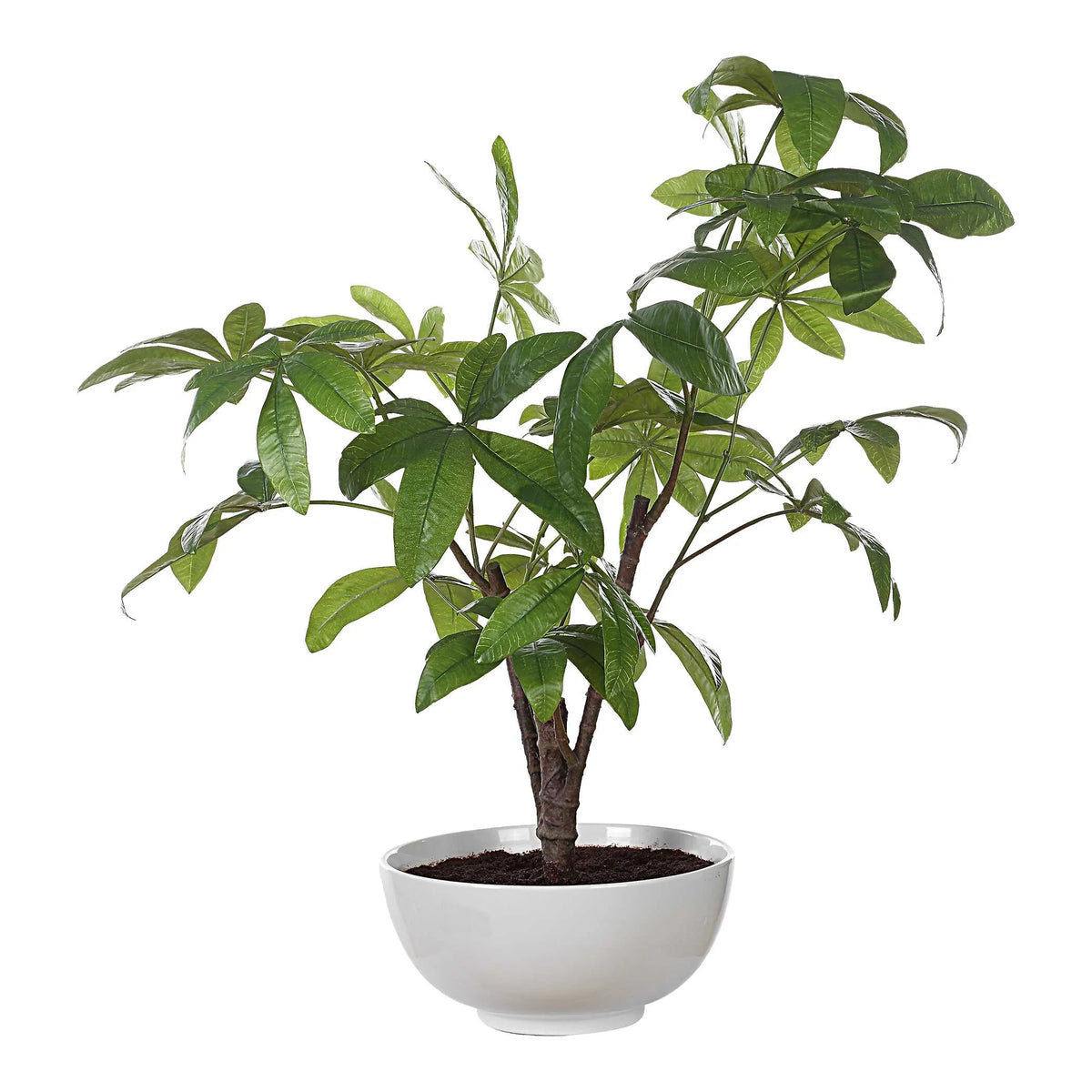 Faux Money Tree in Bowl