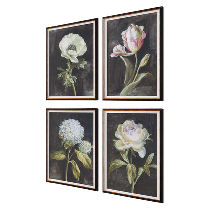 Botanical Framed Prints, Set of 4