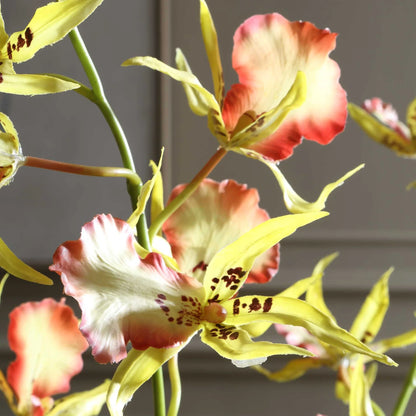 Orchid Glass Vase Arrangement