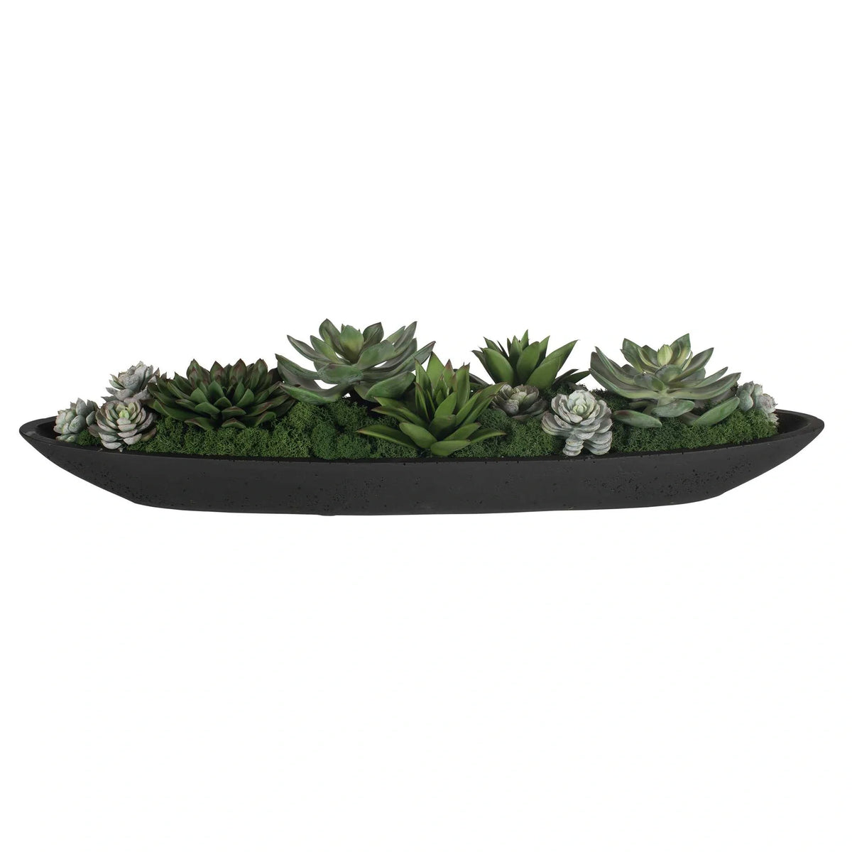 Succulent Centerpiece In Bowl
