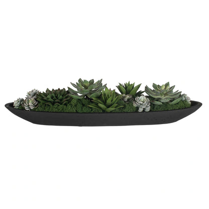 Succulent Centerpiece In Bowl