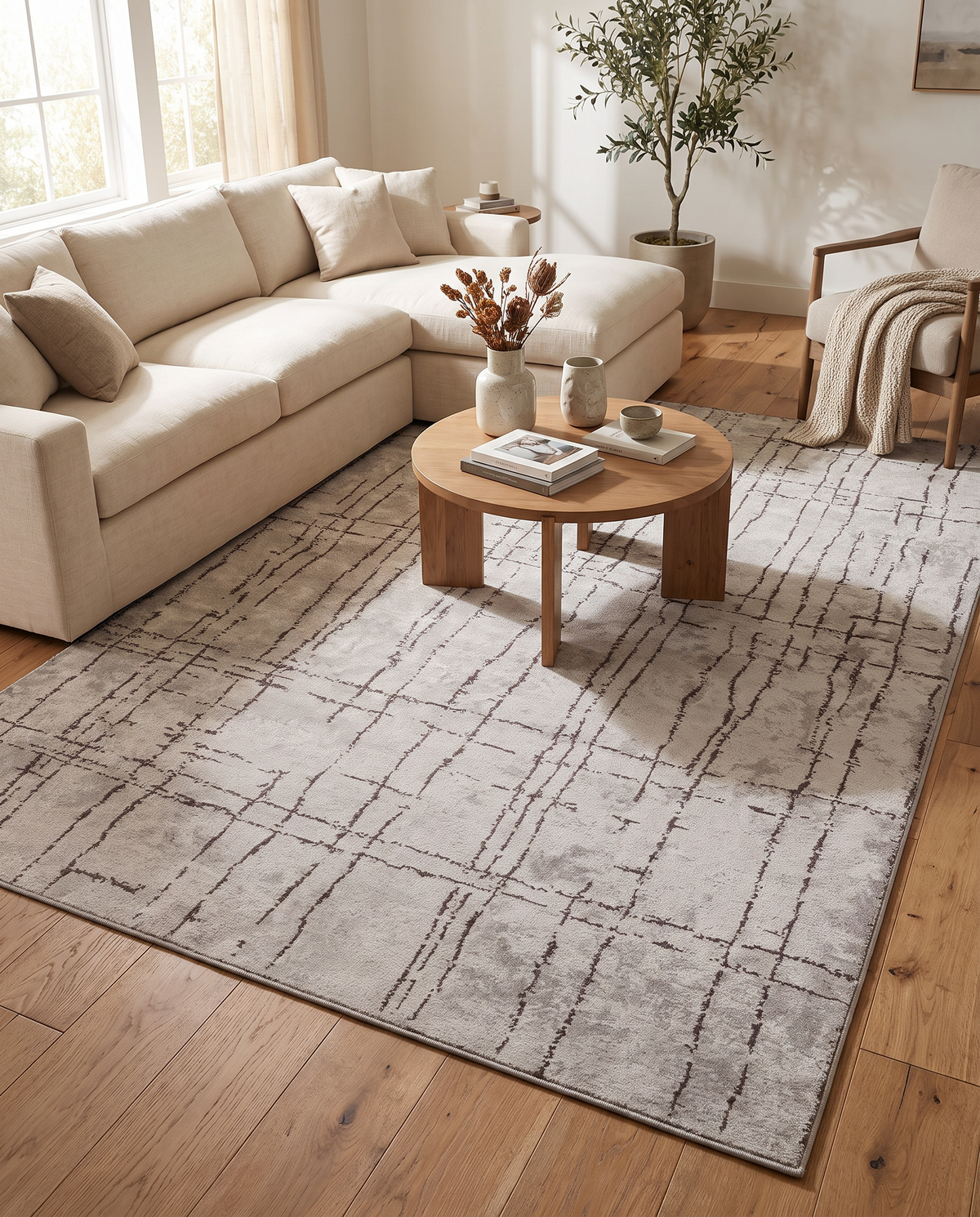 Pisa Charcoal - Light Grey Rug